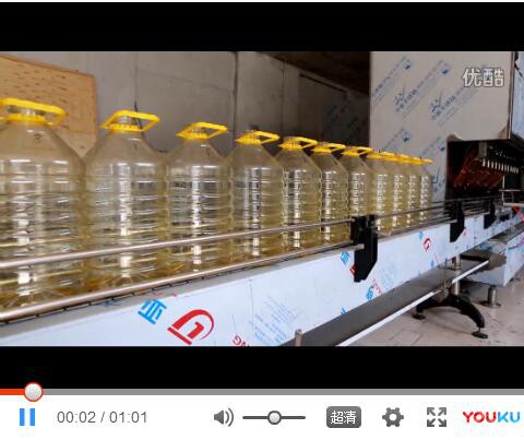 12头小包装灌装机视频